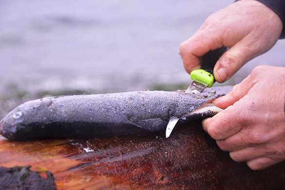 Нож Mora Fishing Comfort нержавеющая сталь