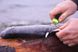 Нож Mora Fishing Comfort нержавеющая сталь