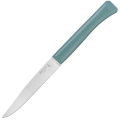 Нож кухонный Opinel Bon Appetit Plus серо-зеленый